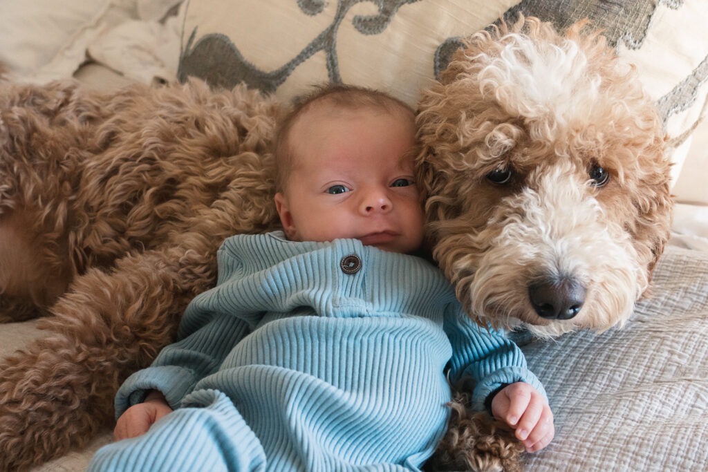 lifestyle newborn session